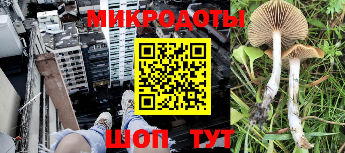 Псилоцибиновые грибы MAGIC MUSHROOMS Алексеевка
