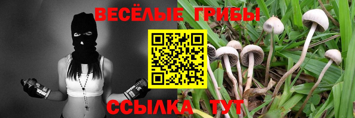 Алексеевка  Псилоцибиновые грибы мухоморы  Вход с VPN 